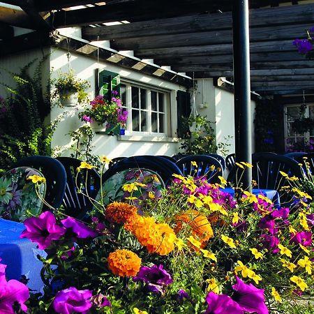 Hotel Garni Sonne Münsterlingen Kültér fotó